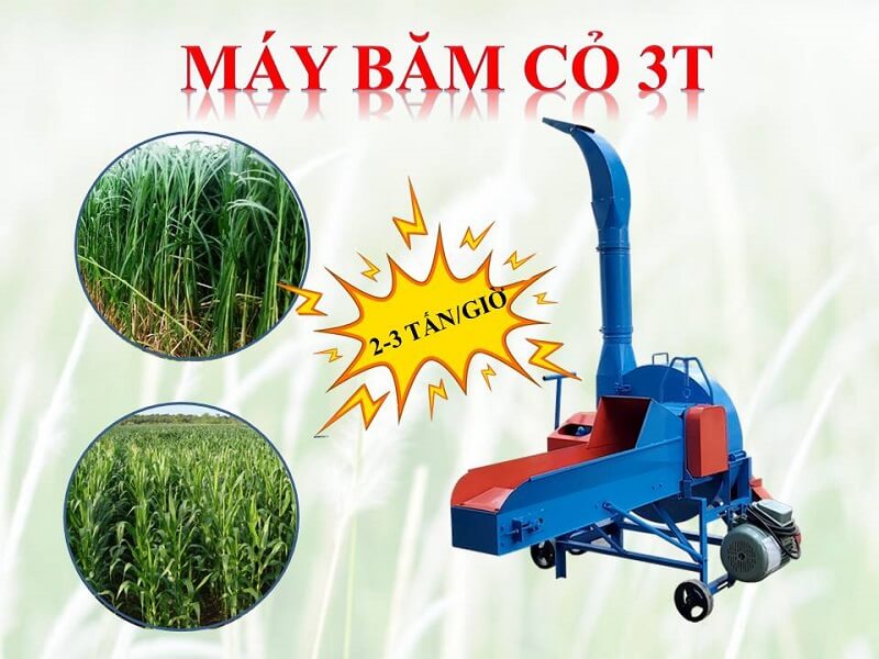 May-bam-co-3T.1