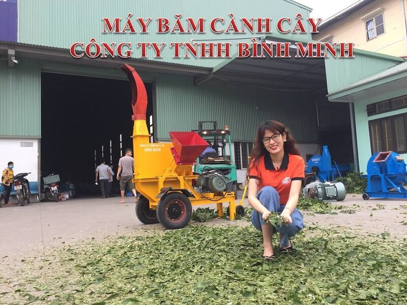 may-bam-canh-1